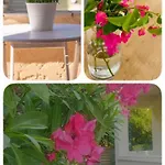 Appartement Romanos Gaios
