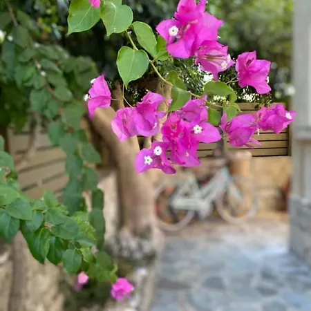 Apartament Romanos Gaios